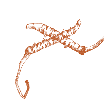 Popraw swoją witalność